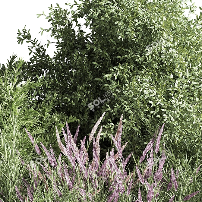 Nature's Blend: Mixed Plant & Bush 3D model image 3