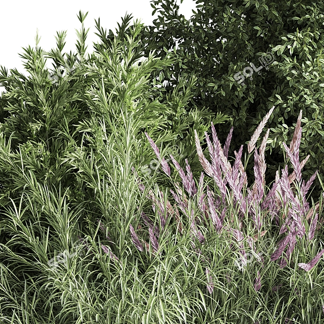 Nature's Blend: Mixed Plant & Bush 3D model image 6