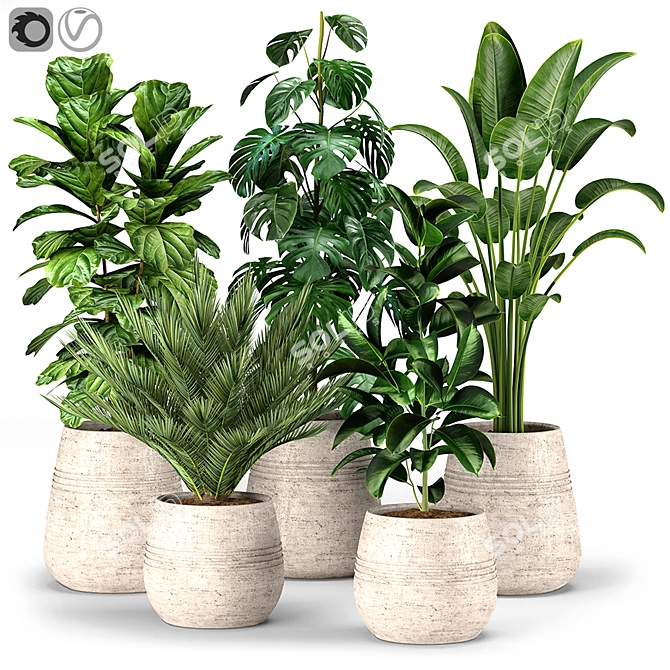 Lush Greenery Collection for Vibrant Interiors 3D model image 1