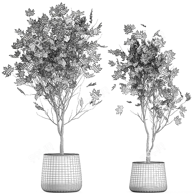 Reclaimed Rustic Plant Collection 3D model image 7