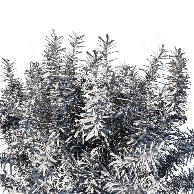 Nerium Oleander Collection - Stunning 3D Floral Art 3D model image 3