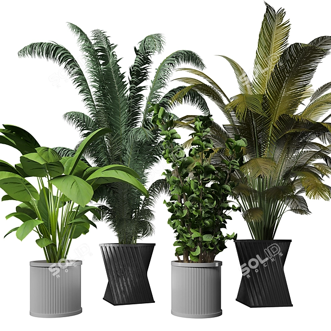 Sleek Indoor Plant Collection 3D model image 1