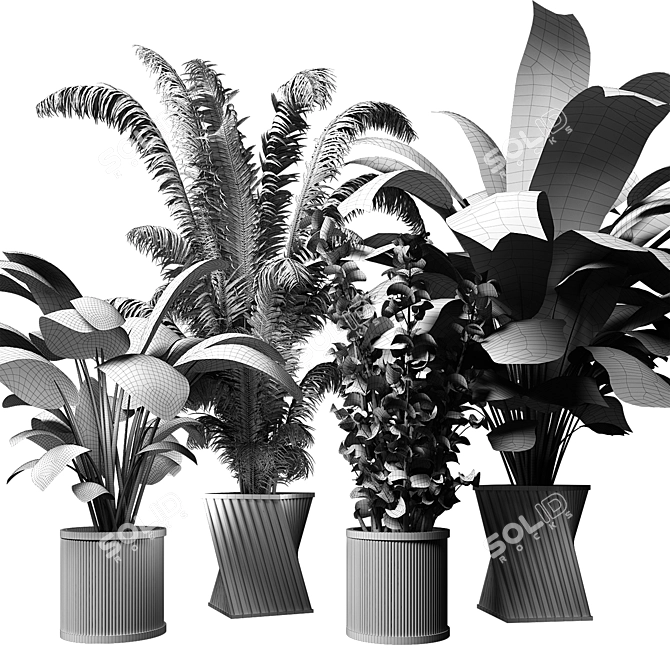 Sleek Indoor Plant Collection 3D model image 4