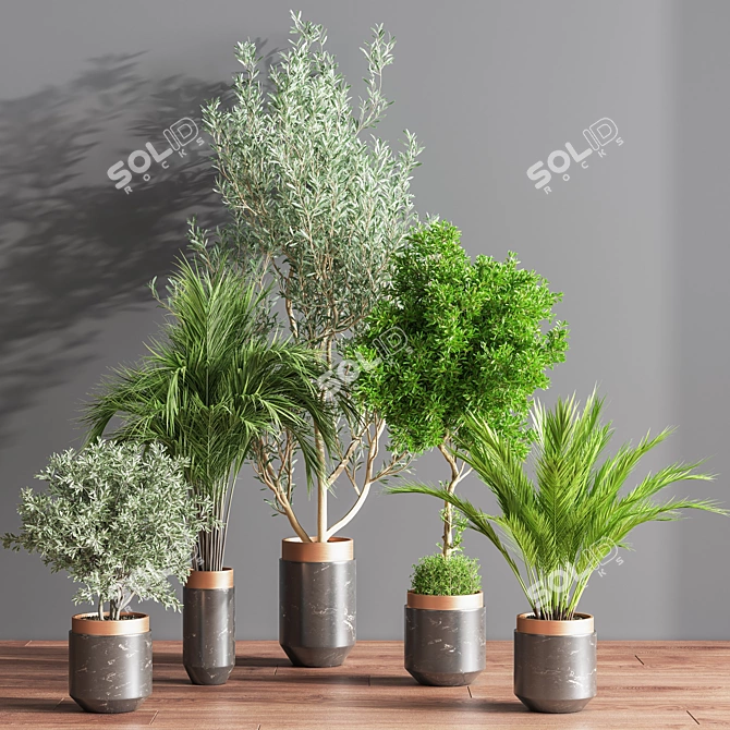 Botanical Bliss Indoor Plant Set 3D model image 2