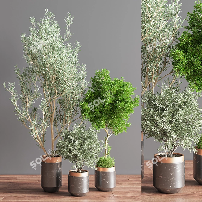 Botanical Bliss Indoor Plant Set 3D model image 3