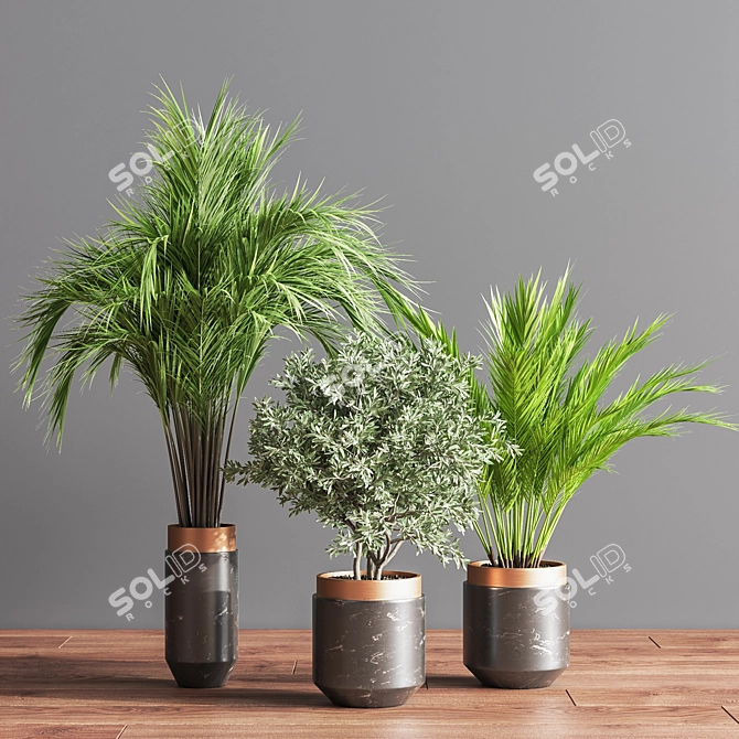 Botanical Bliss Indoor Plant Set 3D model image 4