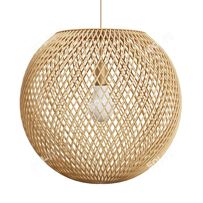 Coastal Rattan Sphere Pendant 3D model image 1