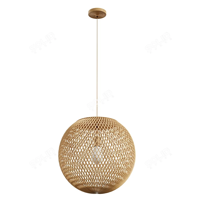 Coastal Rattan Sphere Pendant 3D model image 3