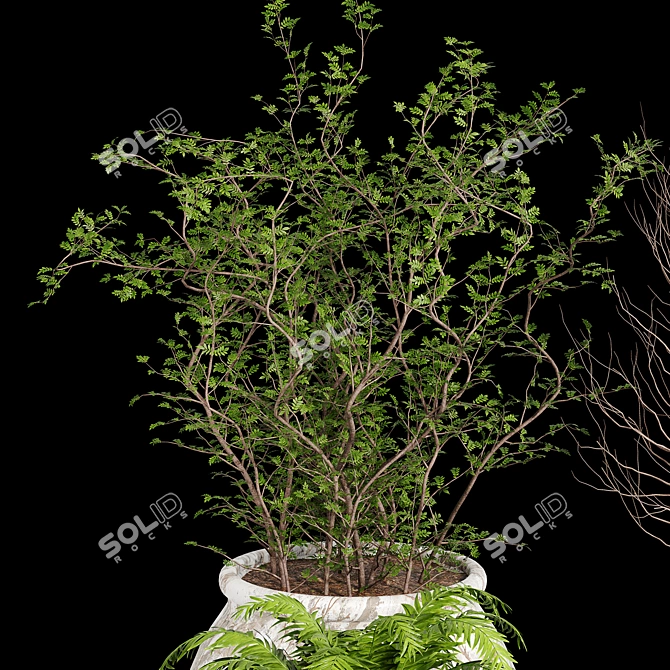 Botanical Bliss: Indoor Plant Collection 3D model image 3