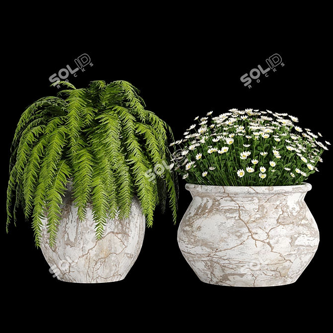 Botanical Bliss: Indoor Plant Collection 3D model image 4