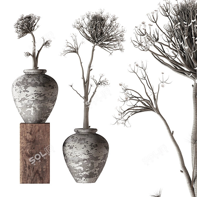 Concrete Pots: Thorns & Blossoms 3D model image 1