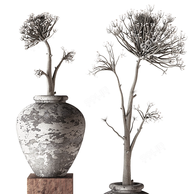 Concrete Pots: Thorns & Blossoms 3D model image 2