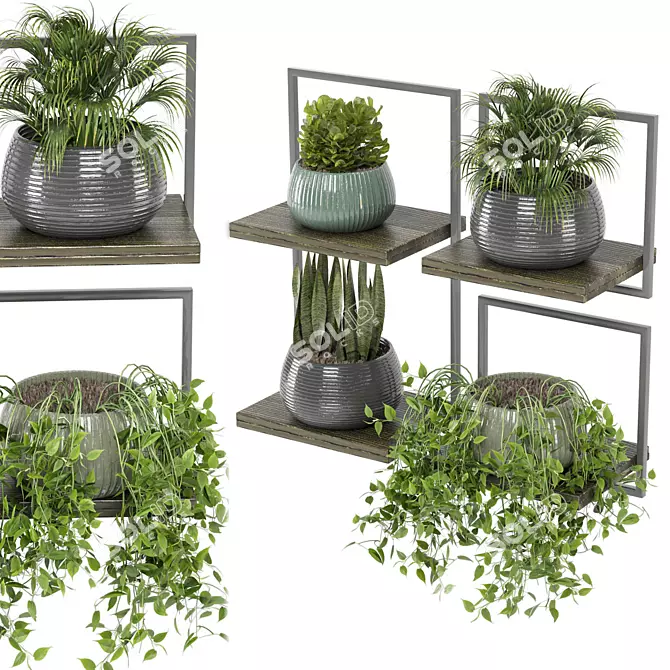 Rusty Concrete Pot Indoor Plants 3D model image 1