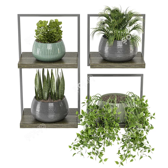 Rusty Concrete Pot Indoor Plants 3D model image 2