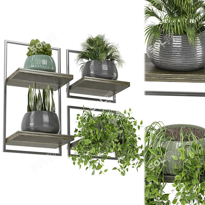 Rusty Concrete Pot Indoor Plants 3D model image 3