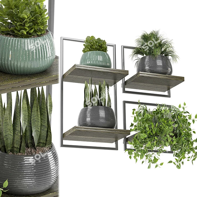 Rusty Concrete Pot Indoor Plants 3D model image 6