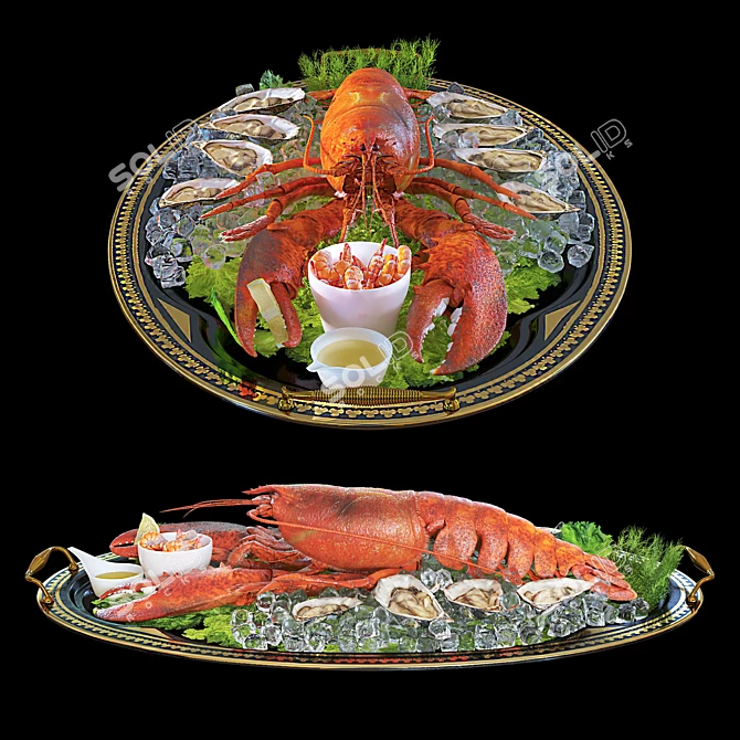 Luxurious Lobster Platter 3D model image 2