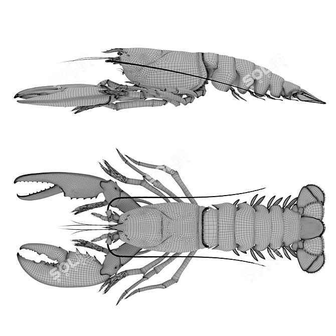 Luxurious Lobster Platter 3D model image 4