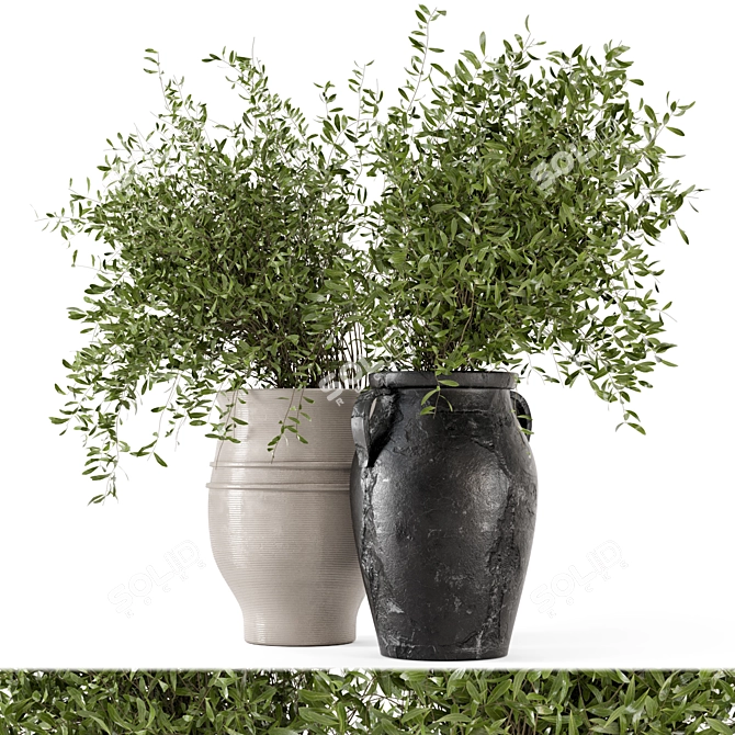 Rustic Outdoor Plants in Concrete Pot 3D model image 1