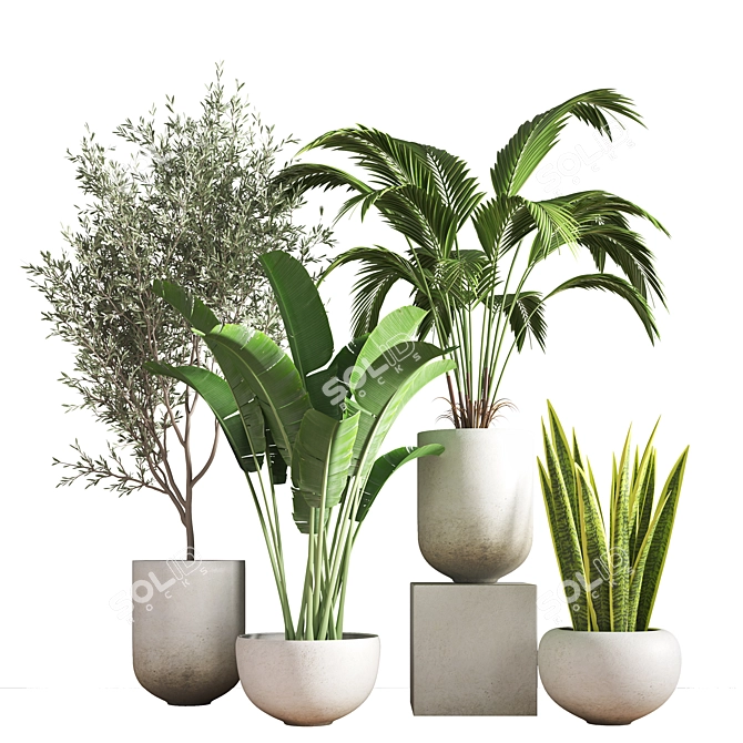 10-Piece Indoor Plant Set 3D model image 1