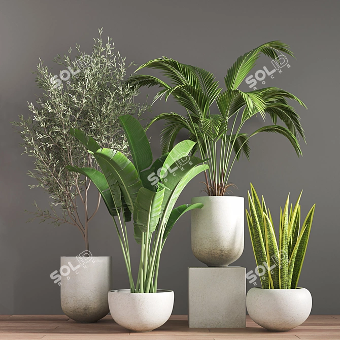 10-Piece Indoor Plant Set 3D model image 2