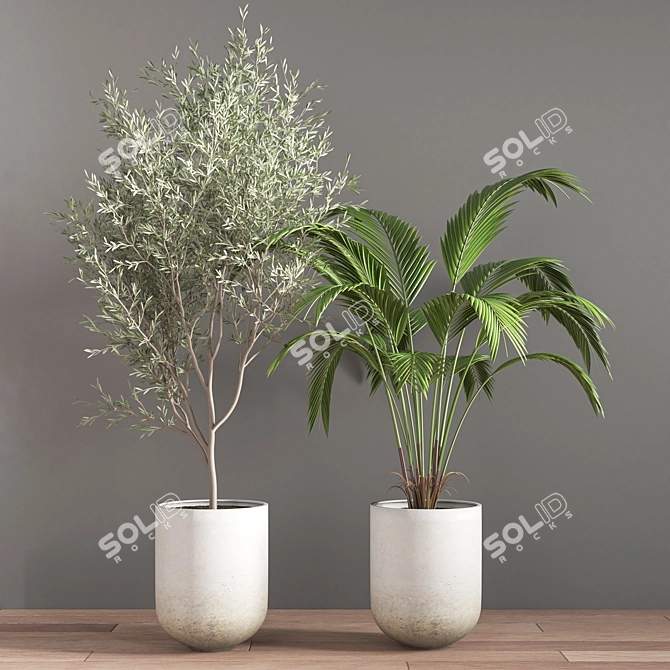 10-Piece Indoor Plant Set 3D model image 6