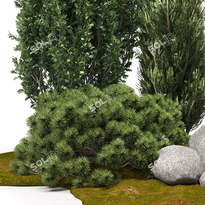 Tall Outdoor Plant: 7m Height 3D model image 2