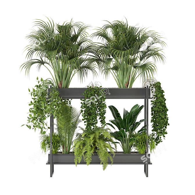 Ferm Living Bau Pot Large - Set 0080: Stylish Indoor Plants 3D model image 3