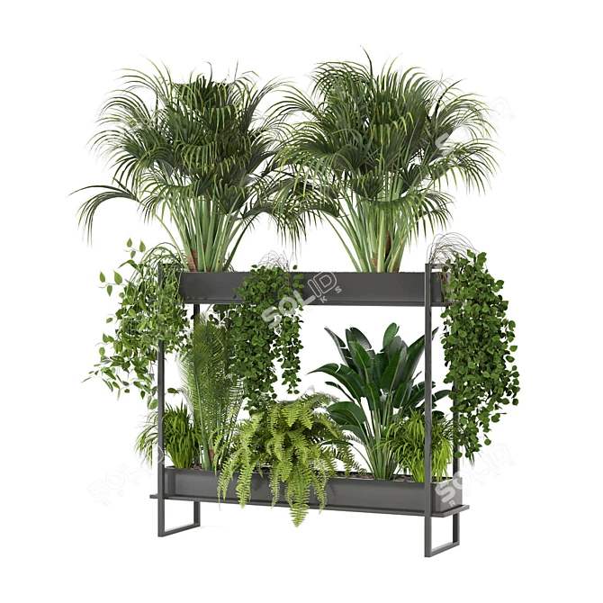 Ferm Living Bau Pot Large - Set 0080: Stylish Indoor Plants 3D model image 4