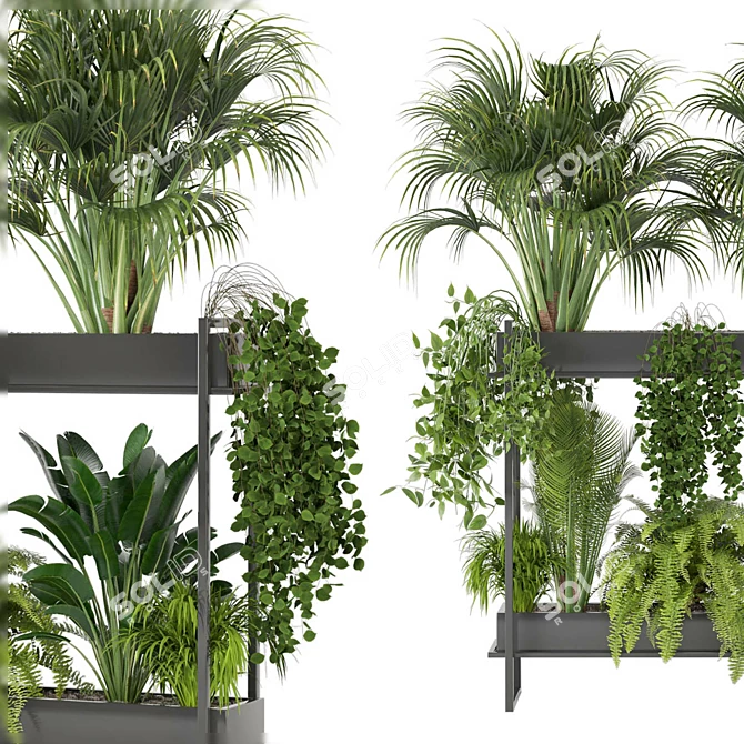 Ferm Living Bau Pot Large - Set 0080: Stylish Indoor Plants 3D model image 5