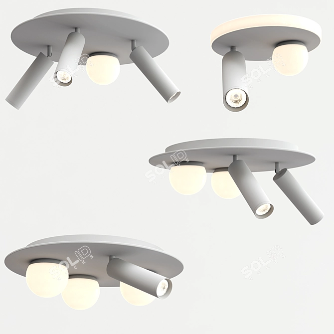 Rotating Ball Ceiling Lamp 3D model image 1