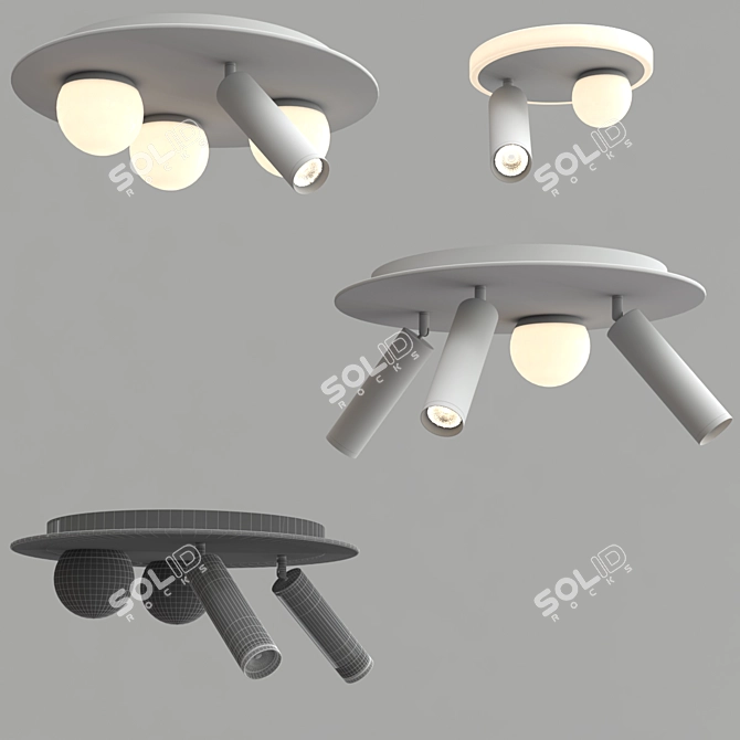 Rotating Ball Ceiling Lamp 3D model image 3