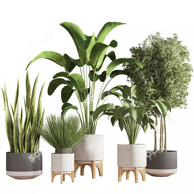  Modern Indoor Plant Stand 3D model image 1