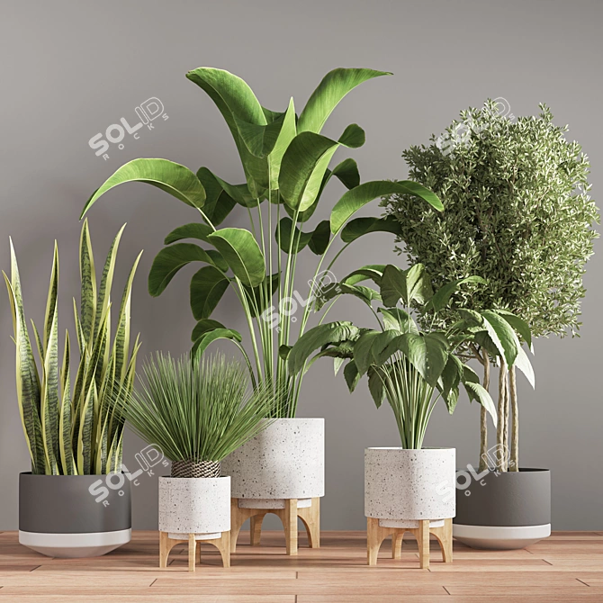  Modern Indoor Plant Stand 3D model image 2