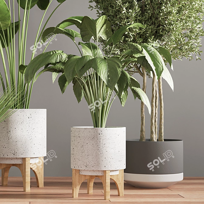  Modern Indoor Plant Stand 3D model image 6