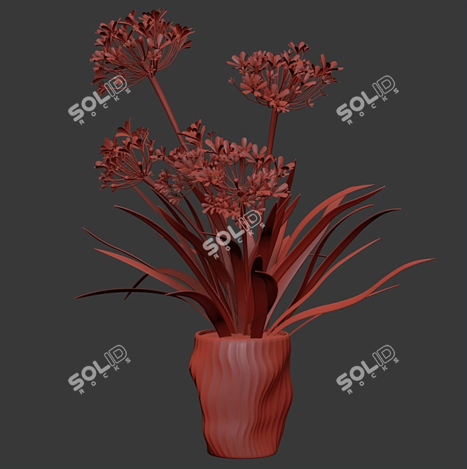 Outdoor Agapanthus Drop-In Plant 3D model image 3