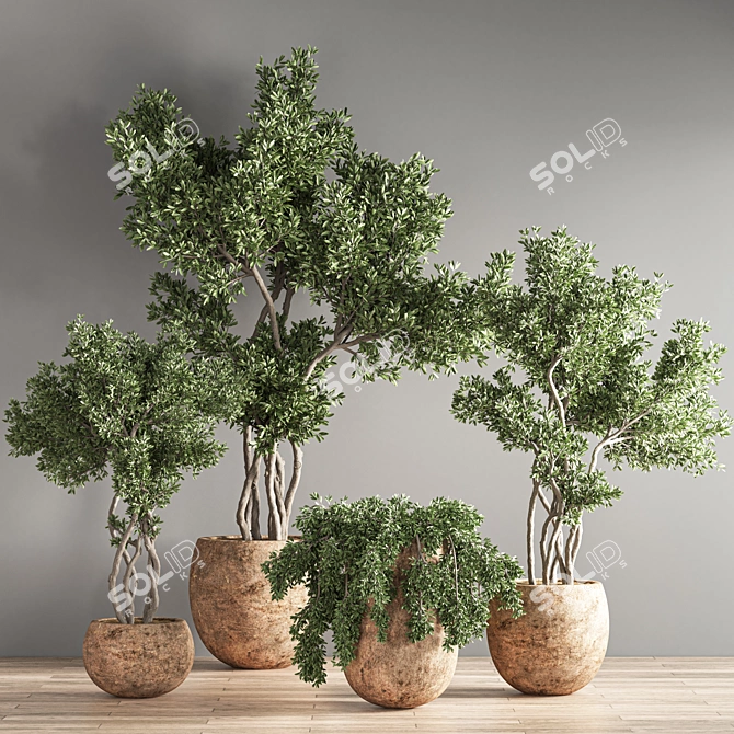 Green Oasis Indoor Plant Set 3D model image 2