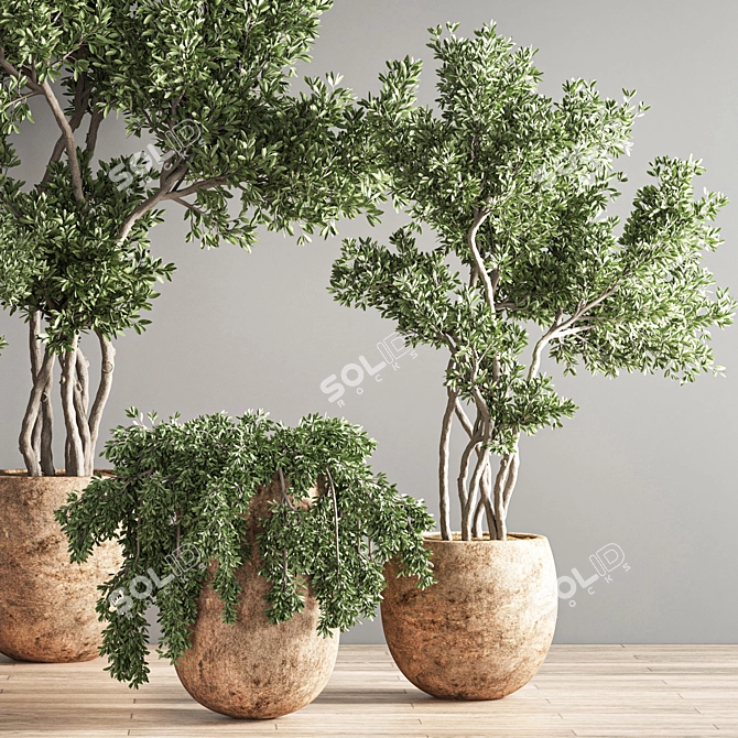 Green Oasis Indoor Plant Set 3D model image 4