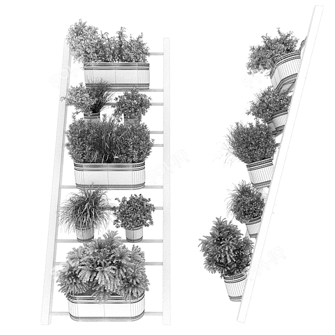 Indoor Hanging Plant Collection 3D model image 5