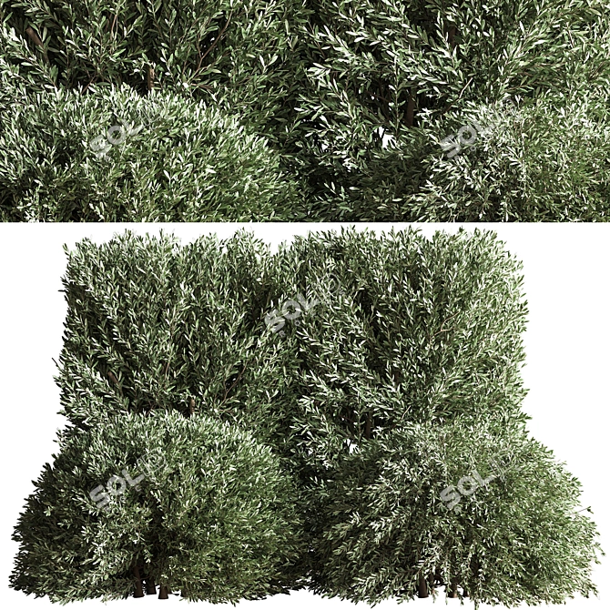 Bush02: Versatile 2015 3D Model 3D model image 1