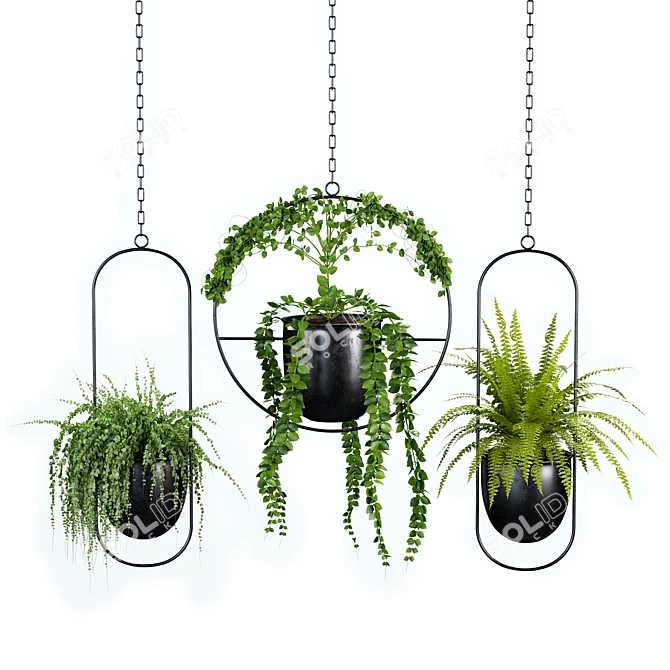 Botanical Bliss: Hanging Indoor Plant Set 3D model image 1