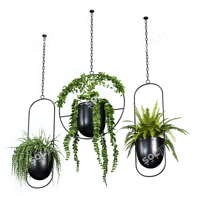 Botanical Bliss: Hanging Indoor Plant Set 3D model image 2