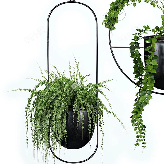 Botanical Bliss: Hanging Indoor Plant Set 3D model image 4