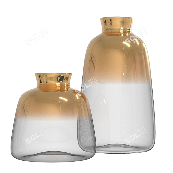 Gilded Gradient Vases 3D model image 2