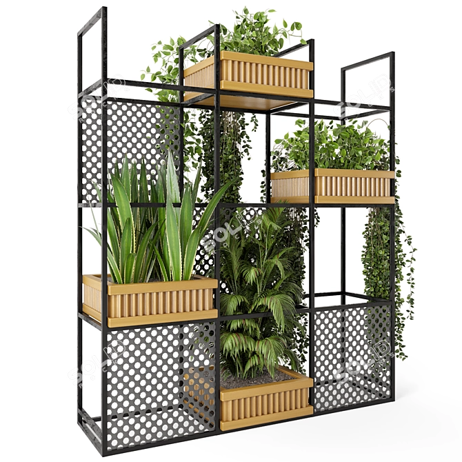 Rustic Indoor Plants Set with Concrete Pots 3D model image 3