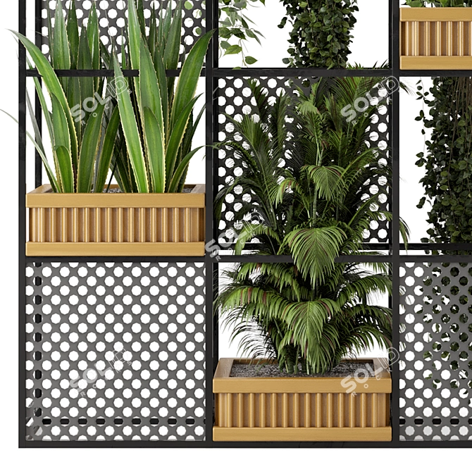 Rustic Indoor Plants Set with Concrete Pots 3D model image 5