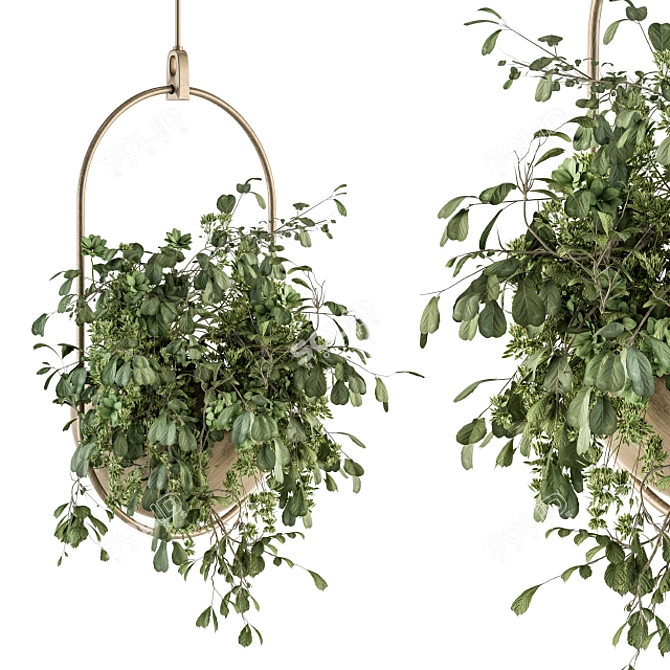 Botanical Beauties: Hanging Plant Set 3D model image 1