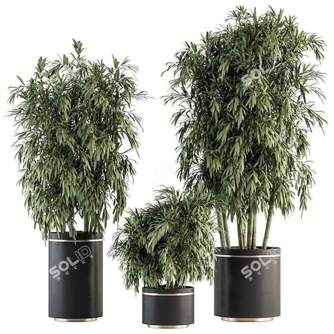 Large Bamboo Set in Pot 3D model image 1