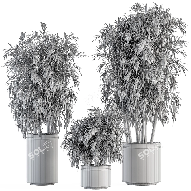 Large Bamboo Set in Pot 3D model image 5