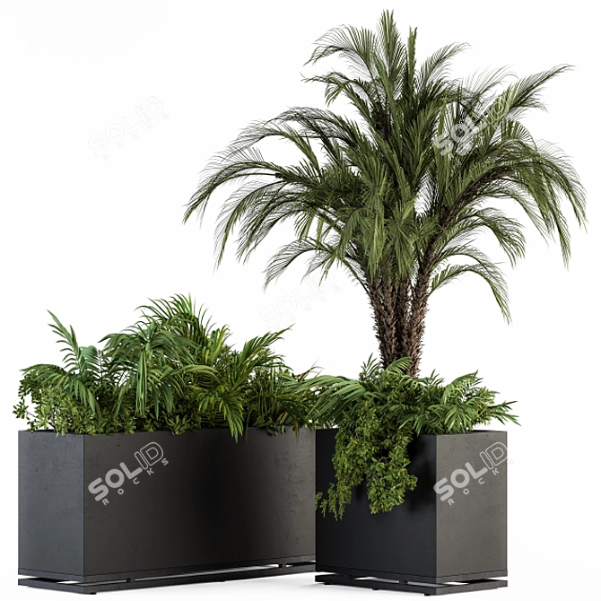 Tropical Oasis: Outdoor Plant Set 3D model image 1